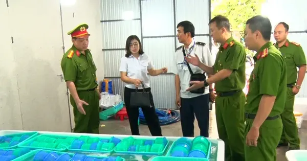 Khánh Hòa tiêu hủy 850.000 con tôm hùm giống nhập lậu, trị giá 34 tỷ đồng