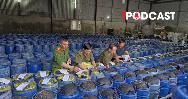 NÓNG 19/4: Bắt 4 chủ cơ sở ngâm giá đỗ bằng hóa chất 'nước kẹo', đã bán 3.500 tấn