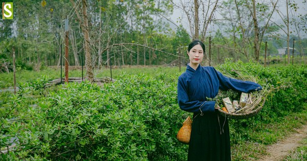 Mục sở thị ‘ngôi làng chữa lành’ giữa lòng cố đô