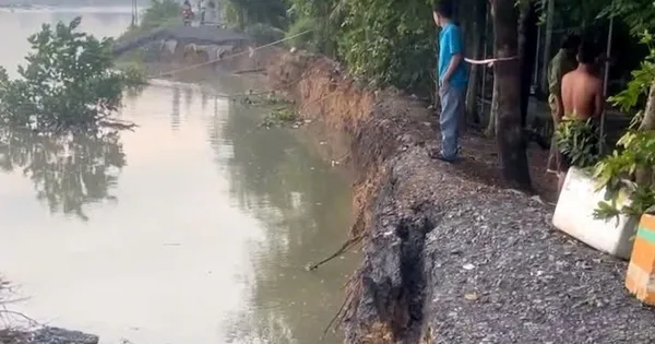 100m đê sông Sài Gòn bị sạt lở, TPHCM khẩn cấp di dời dân