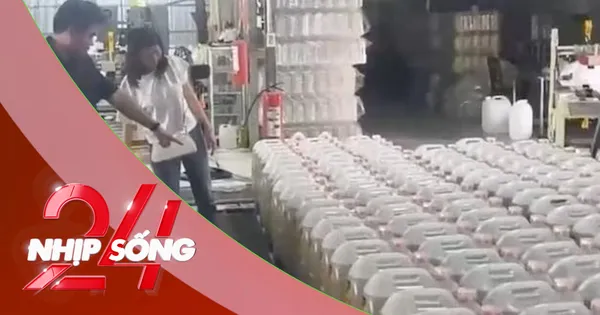 NHỊP SỐNG 24: Dầu chăn nuôi thành dầu ăn cho người: Độc hại cỡ nào?