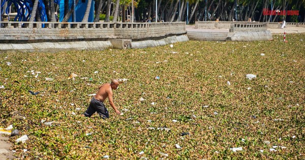 Đến lượt Bãi Trước, TP Vũng Tàu xuất hiện 'hình ảnh chưa từng thấy'