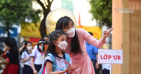 Giáo viên TPHCM có lương cao nhất cả nước, có người nhận hơn 400 triệu đồng/năm