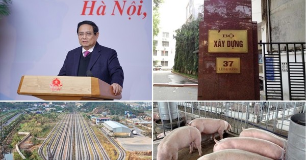 tienphong.vn