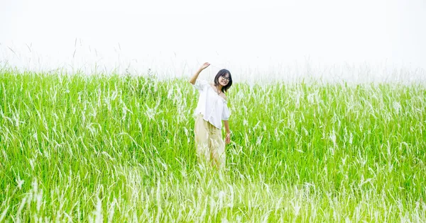 Mê mẩn cỏ lau trắng muốt phủ trắng triền đê ở Hà Nội
