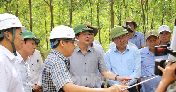 Bí thư, Chủ tịch tỉnh Bình Định khảo sát tiềm năng núi Vũng Chua