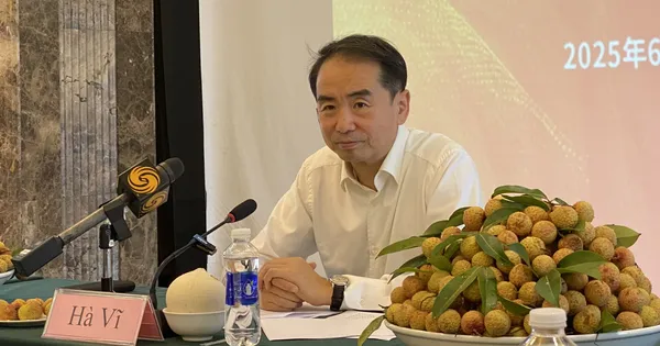 ‘Cùng thưởng thức vải đỏ - Cùng chia sẻ tình đồng chí’