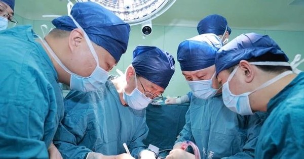 NHỊP SỐNG 24: Ca ghép gan lợn biến đổi gene cho người đầu tiên trên thế giới