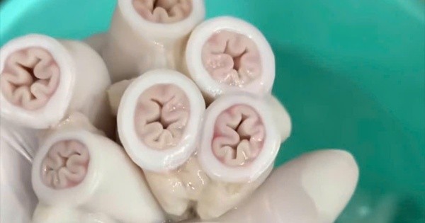 Kiểm tra, lấy mẫu tại cơ sở của chuỗi quán ăn có lòng xe điếu dài 40m ở TPHCM