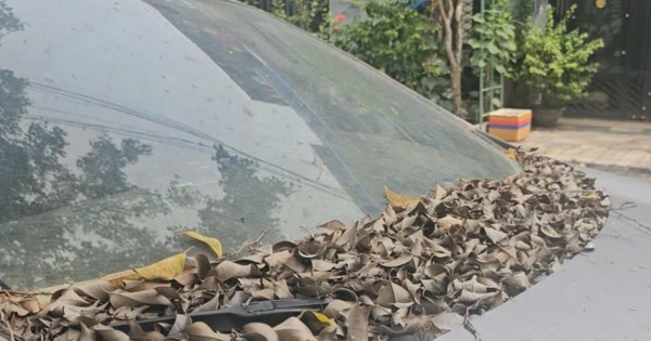 Xe 7 chỗ 'chết lâm sàng' cả năm trước nhà dân, công an TPHCM tìm chủ nhân