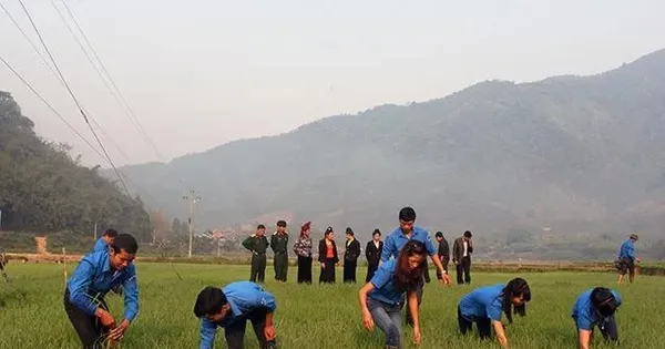 Chính phủ yêu cầu tiếp nhận đội viên thuộc đề án 500 tri thức trẻ vào công chức xã