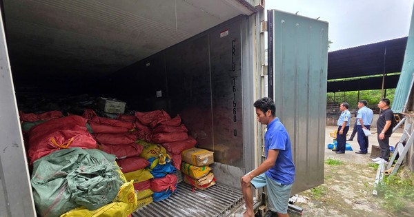 Phát hiện kho chứa 25 tấn mực ống, chân gà, sách bò bốc mùi ở Quảng Ninh