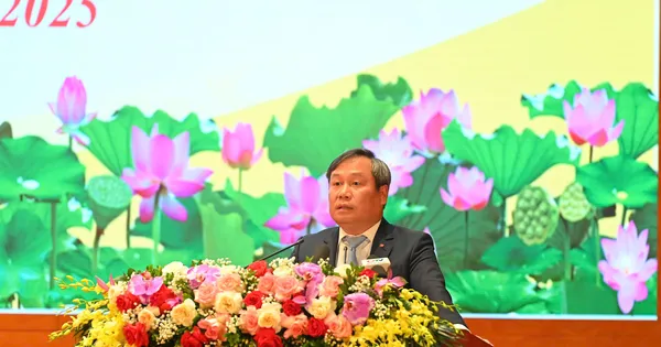Quảng Ninh công bố sắp xếp đơn vị hành chính, thành lập 2 đặc khu Vân Đồn và Cô Tô