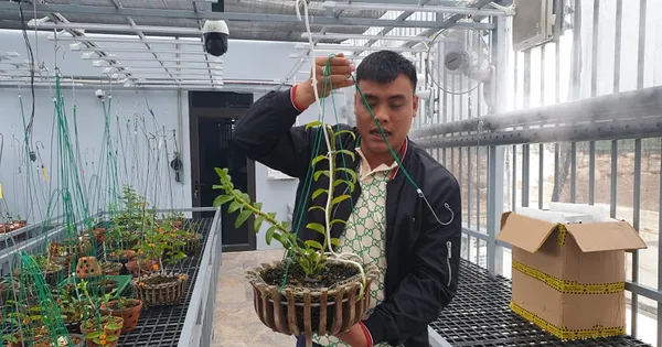 tienphong.vn