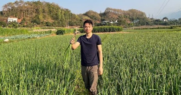 Khởi nghiệp từ tỏi đen, chàng trai 9X tạo sinh kế bền vững cho bà con vùng cao
