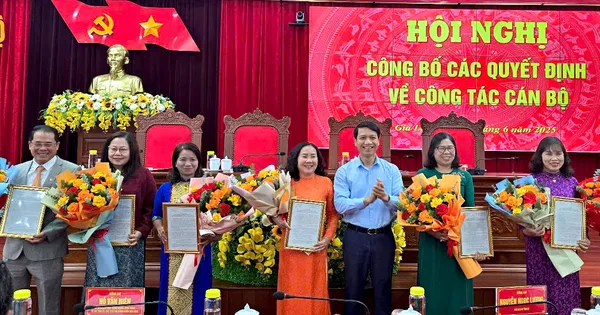 Hai ủy viên Ban Thường vụ Tỉnh ủy Gia Lai nghỉ hưu