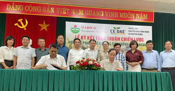 Hợp tác phát triển giống cây trồng của Hà Nội: Kiến tạo nền nông nghiệp sinh thái