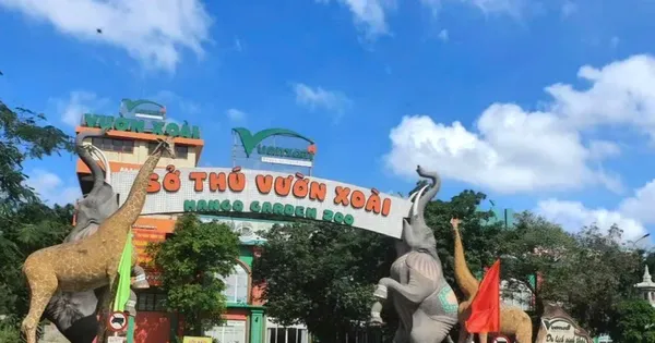 Xử phạt chủ đầu tư Khu du lịch sinh thái vi phạm đất đai và môi trường