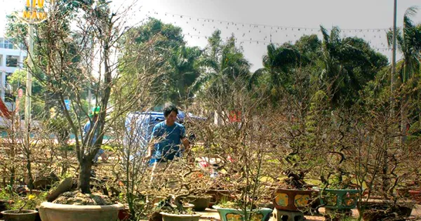 www.tienphong.vn