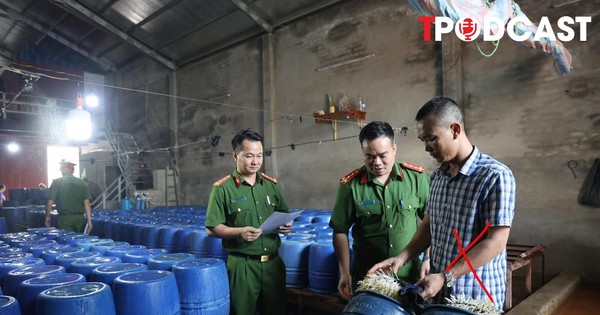 NÓNG 19/5: Lại phát hiện cơ sở sản xuất giá đỗ ngâm hóa chất, hơn 60 tấn đã len lỏi vào bữa ăn hàng ngày