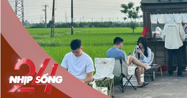 NHỊP SỐNG 24: Quán cà phê đồng ruộng hút khách