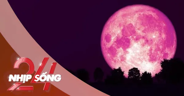 NHỊP SỐNG 24: 'Trăng dâu tây' tháng 6 sẽ xuất hiện ở vị trí rất kỳ lạ?