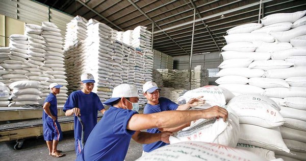 Giá lúa gạo thất thường, Bộ Công Thương lập đoàn kiểm tra