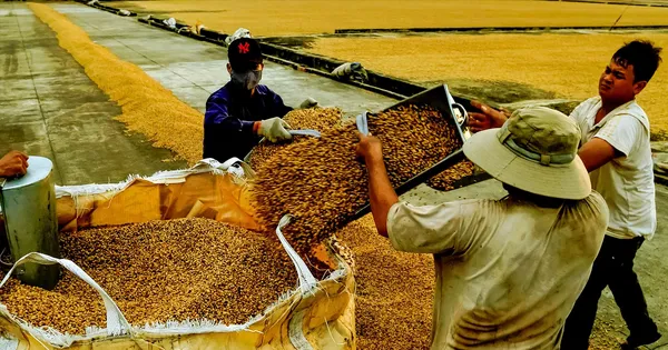 Nỗi lo siêu thị, chợ mạng