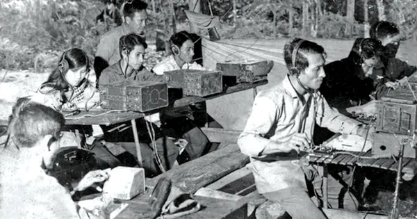 Làm báo trong rừng