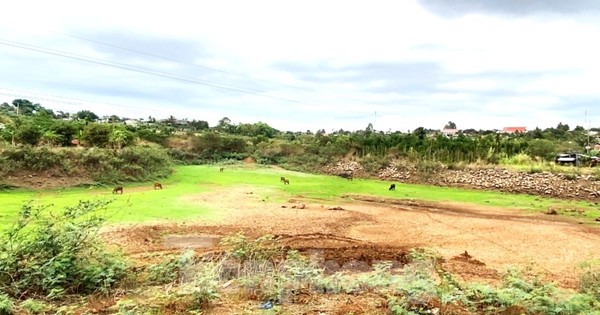 Hồ đập cạn trơ đáy, cà phê sắp 'chết khát' giữa mùa khô