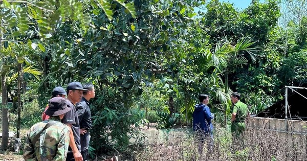Đến trại nuôi vịt, tá hỏa phát hiện 2 người tử vong