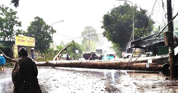 Mưa lớn kèm đá quật ngã cây đè trúng xe cứu thương