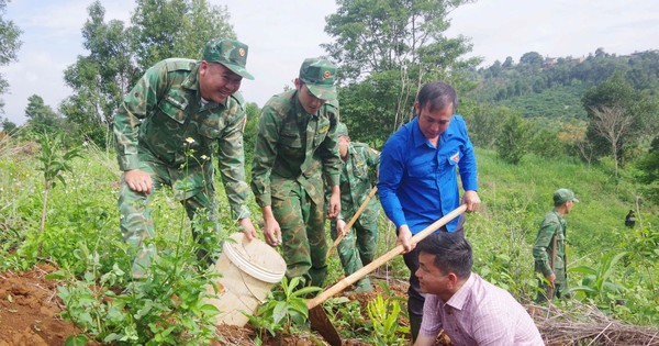 Tặng 10.000 cây giống và trao bò sinh sản cho bà con vùng biên Đắk Nông