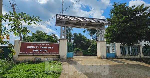 Đi tuần tra rừng, Phó giám đốc công ty lâm nghiệp ở Đắk Nông bị đánh gãy xương sườn
