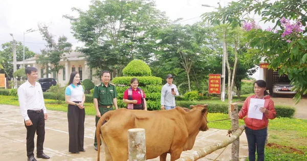 Đồng hành cùng phụ nữ biên cương, giúp 1.324 hộ dân Đắk Nông thoát nghèo
