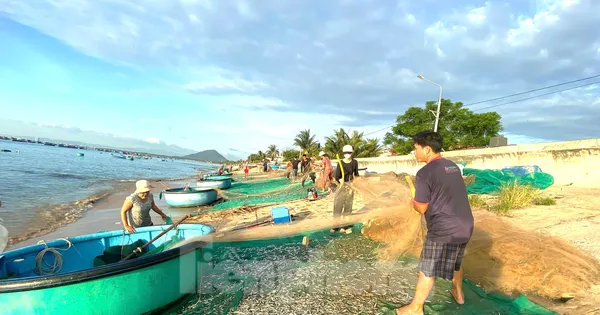 Ngày mới nhộn nhịp ở làng chài trăm tuổi Đắk Lắk