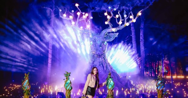 Lộ diện công viên hoa, ánh sáng nghệ thuật lớn nhất Việt Nam