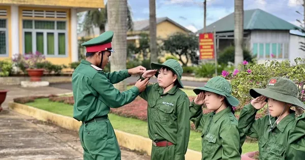 'Chiến sĩ nhí' Lâm Đồng tham gia học kỳ trong quân đội tại Trung đoàn Bộ binh 994