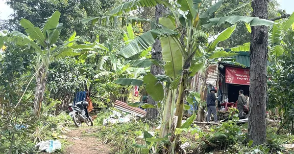 Vụ bé gái 2 tuổi mất tích bí ẩn ở Lâm Đồng: Huy động gần 100 người tìm kiếm