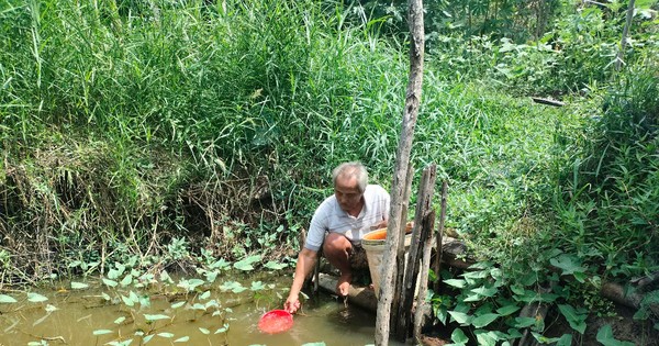 Nhiều hộ dân ở U Minh phải dùng nước ao sinh hoạt