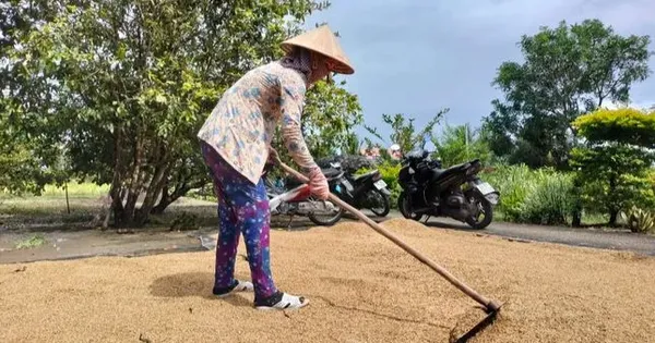Cà Mau: Hủy quyết định kỷ luật cán bộ do sai căn cứ pháp lý