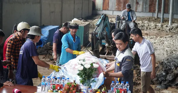 Cá heo bơi lạc vào sông ở Cà Mau đã chết