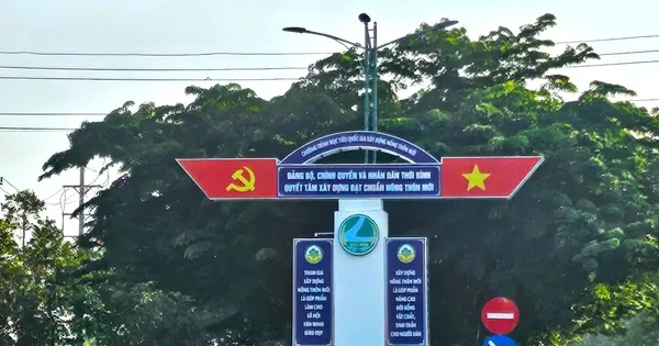 Trộm cắt dây điện trên tuyến đường Hành lang ven biển phía Nam