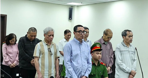 Dàn cựu lãnh đạo Vinatea lĩnh tổng hơn 40 năm tù vì sai phạm trong quản lý 11 khu đất