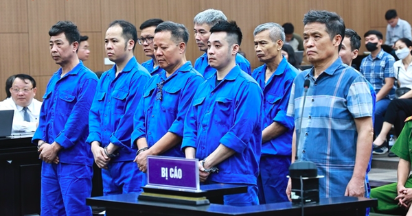 Vụ buôn lậu đất hiếm sang Trung Quốc: Hai chủ doanh nghiệp lĩnh hơn 30 năm tù