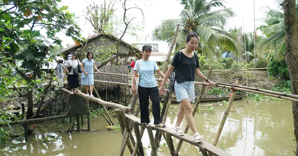 Nổi chìm văn hóa cù lao - bài cuối: Thách thức bảo tồn những 'viên ngọc quý'