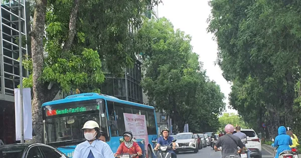 Xe buýt và những kẽo kẹt dịu dàng