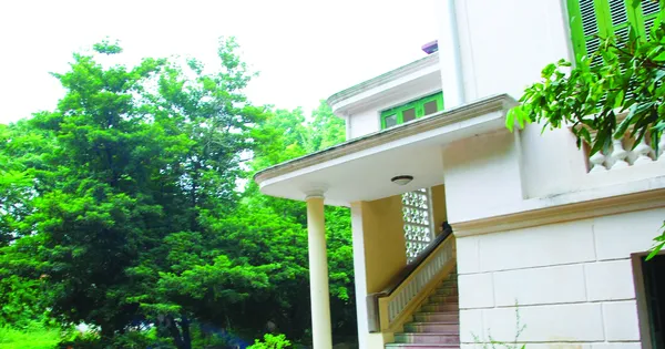 tienphong.vn