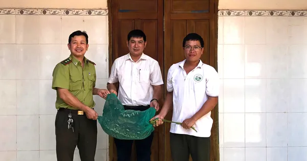 Trăn gấm quý hiếm bò vào nhà dân bắt gà trong đêm