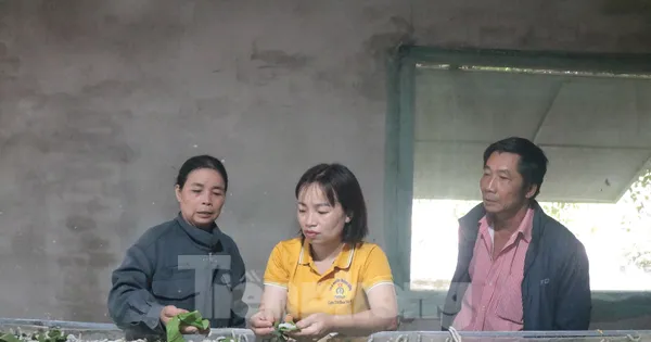 Đa cây, đa con giúp bà con vùng sâu phát triển kinh tế